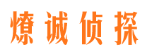 平武小三调查